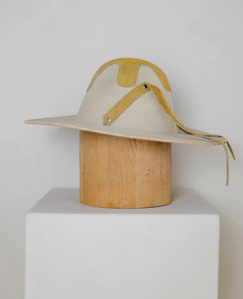 Cowboy hat from SHE COULD HAVE BEEN A COWBOY.
