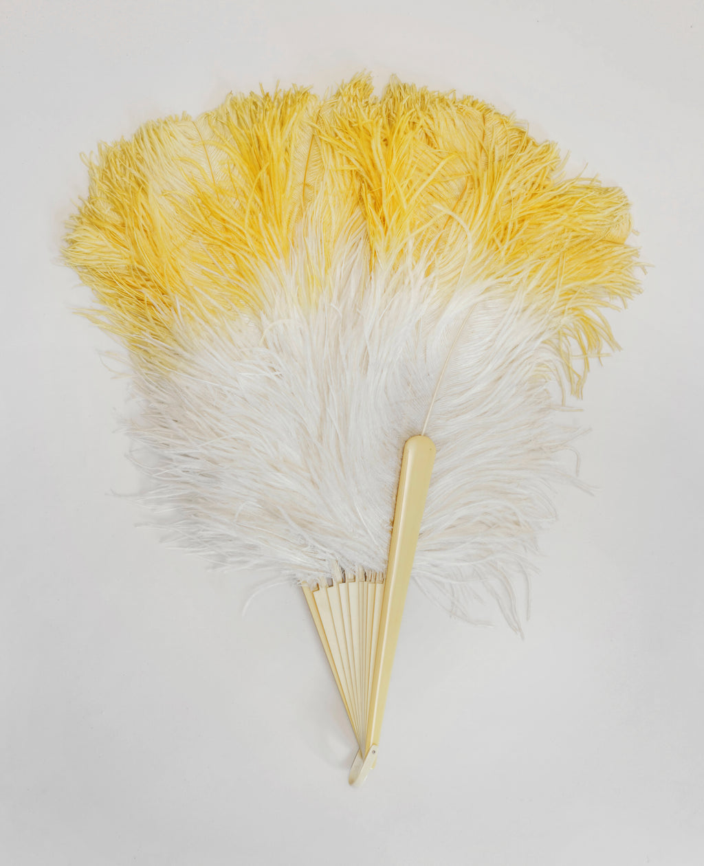 Vintage Ostrich Feather fan