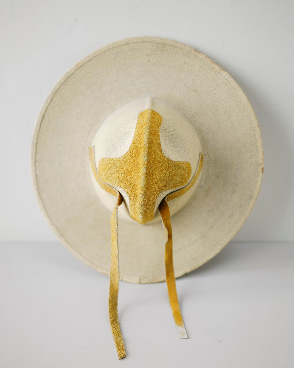 Cowboy hat from SHE COULD HAVE BEEN A COWBOY.