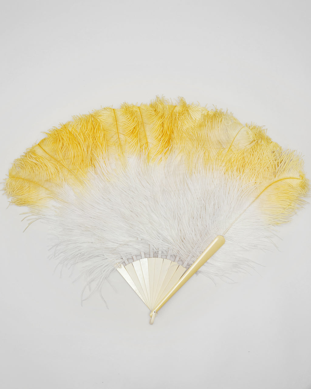Vintage Ostrich Feather fan