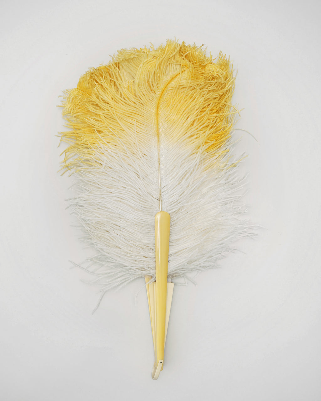 Vintage Ostrich Feather fan