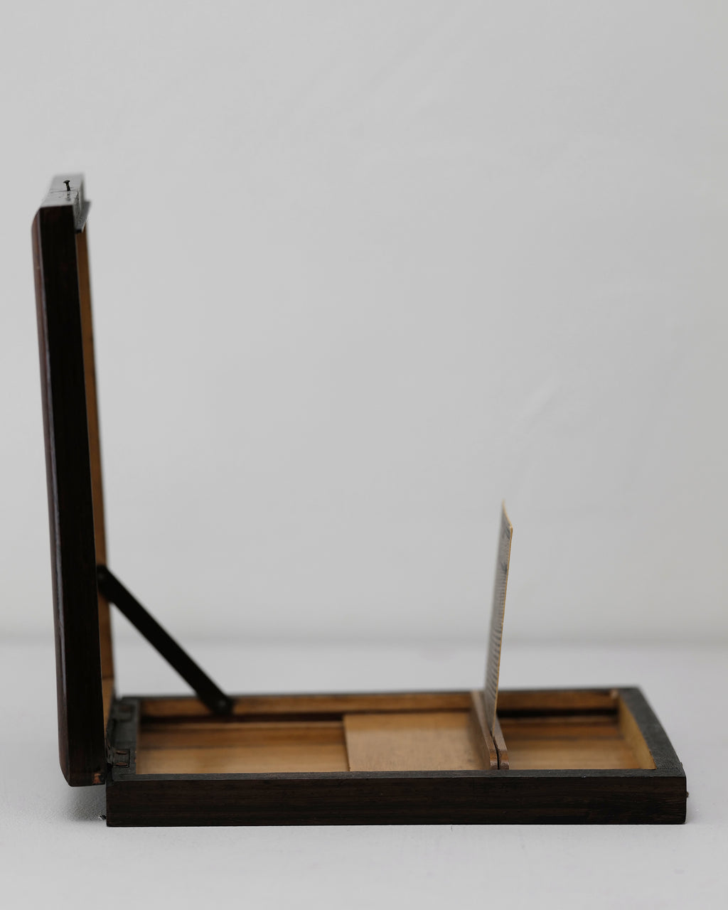 Graphoscope image viewer.
